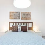 Macaronesia By Sunkeyrents San Miguel de Abona
